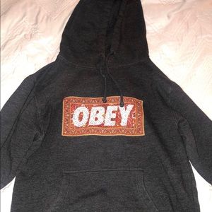 hoodie/ sweatshirt